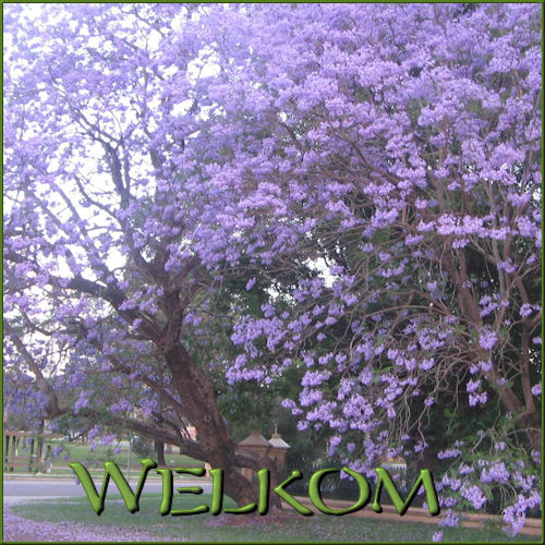 2025-04-03-Welkom.j…