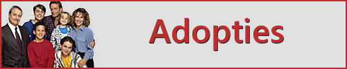 2025-0-Serv-Adoptie…