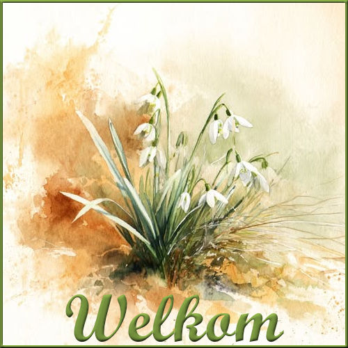 2026-02-02-Welkom.j…