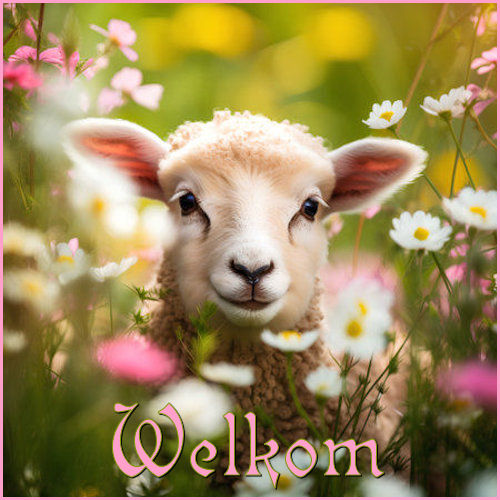 2026-03-03-Welkom.j…